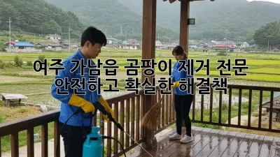 여주 가남읍 곰팡이 제거 전문: 안전하고 확실한 해결책!