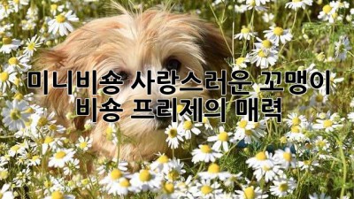 미니비숑: 사랑스러운 꼬맹이, 비숑 프리제의 매력