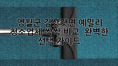 영월군 김삿갓면 예밀리 청소업체 싹싹 비교 ✨ 완벽한 선택 가이드